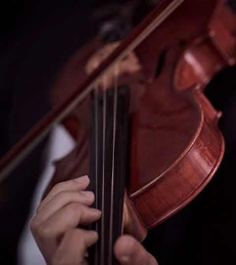 See the Melbourne Symphony Orchestra perform Beethoven's Symphony No. 7