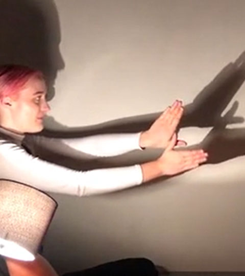 Learn How to Make Shadow Puppets