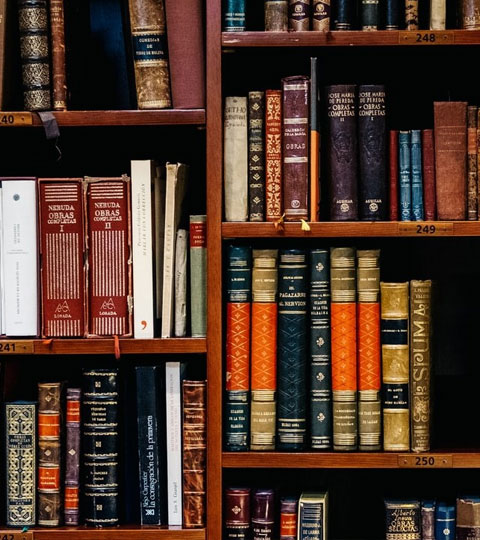 Discover Classical Reads: Novels About Classical Music