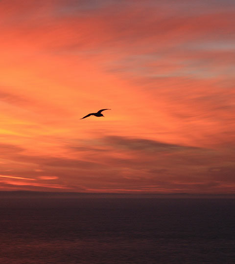 Listen to Classical Music to Lift Your Mood