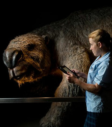 Immerse yourself in the Australian Museum's learning resources