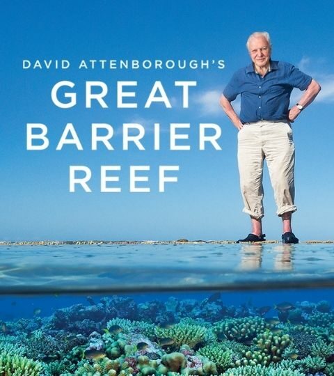 Go on an Interactive Journey through the Great Barrier Reef