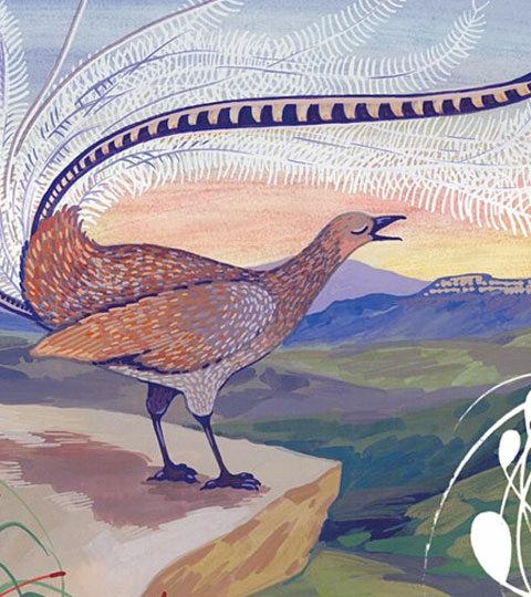 Watch Author Jodie McLeod read Leonard the Lyrebird