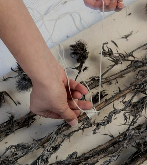 Access Parramatta Artist Studios' Movers and Makers Reources