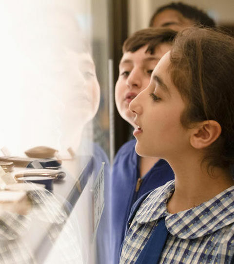 Participate in the State Library of NSW's activities & resources