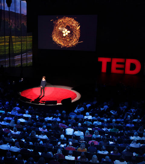 Stir Your Curiosity with TED Talks