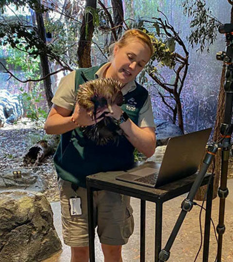 Take part in Taronga Zoo's Virtual Lessons