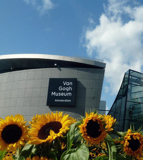 Enjoy the Van Gogh Museum from your home