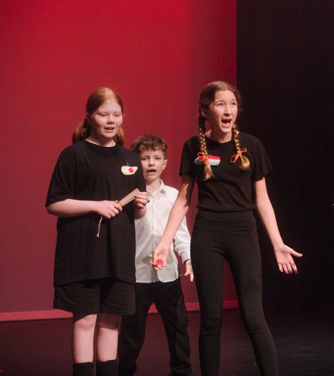 Junior Performance Ensemble for Ages 9 - 12